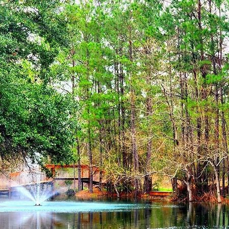 Waterfront Houston Hide Out In A Magical Forest Waller Esterno foto