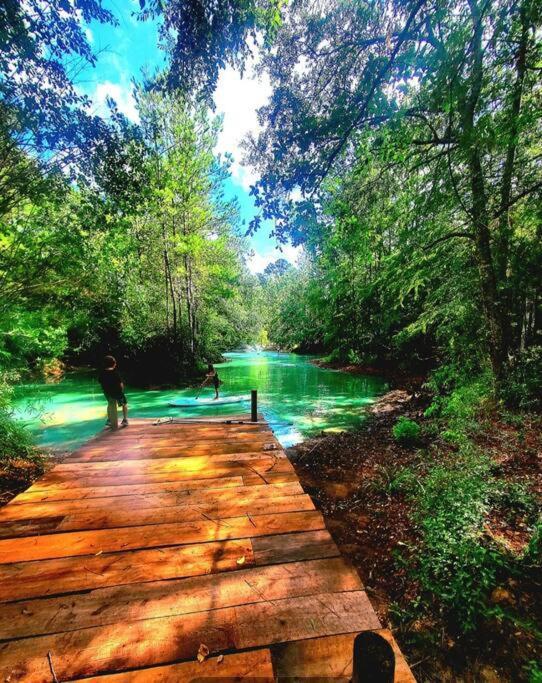 Waterfront Houston Hide Out In A Magical Forest Waller Esterno foto