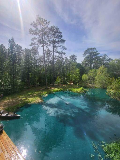 Waterfront Houston Hide Out In A Magical Forest Waller Esterno foto